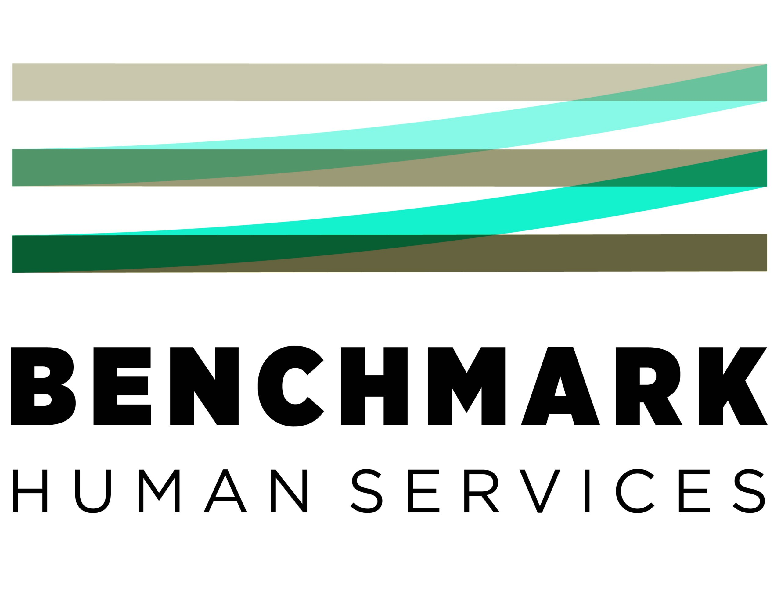 Benchmark Human Services logo