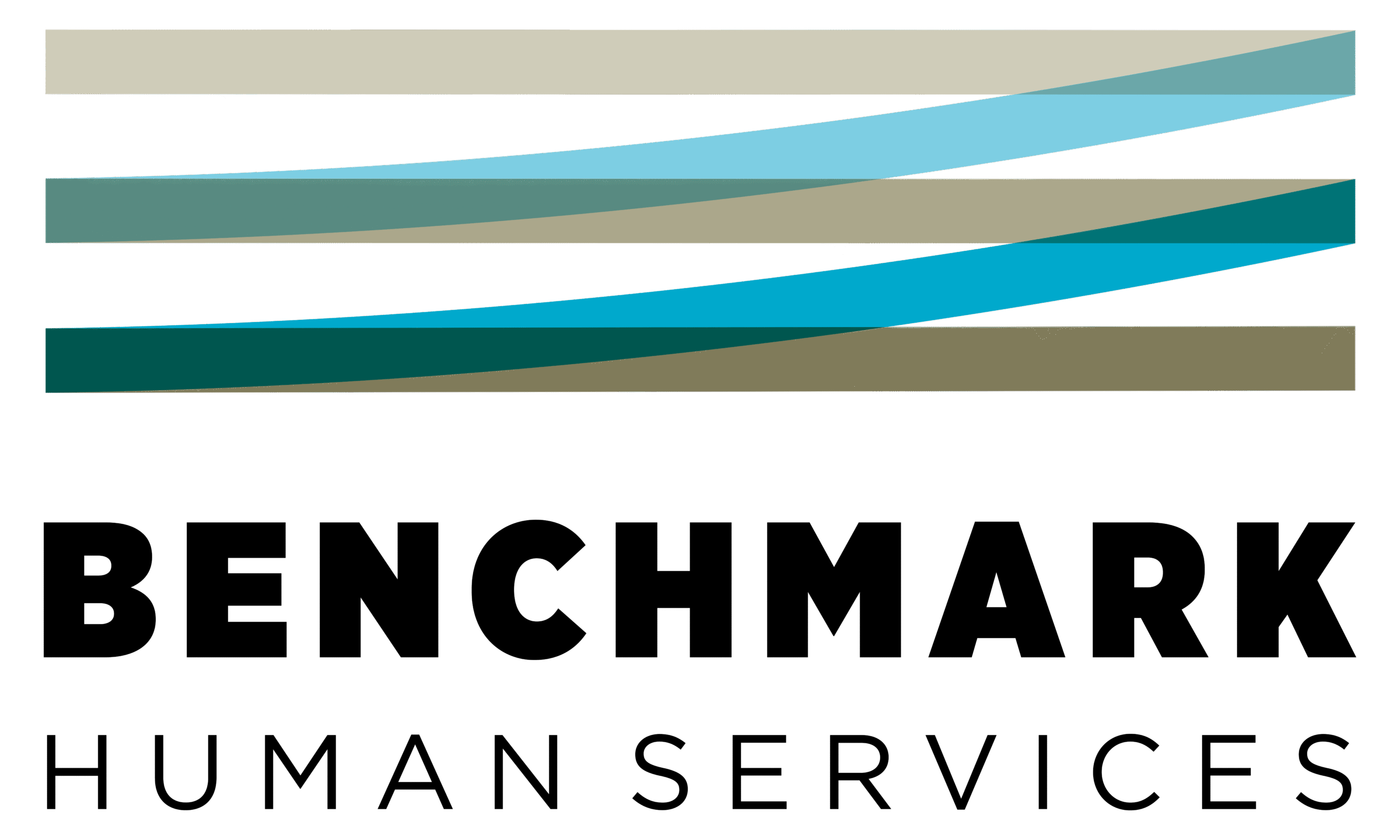Benchmark Human Services logo